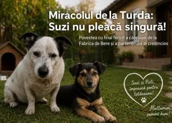 Fotografie cu caracter exemplificativ, realizată cu ajutorul AI.