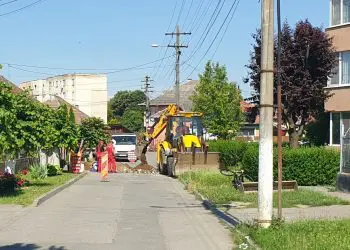 Foto/Stelli Crișan.