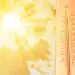 Extremely high temperature on thermometer against orange sky on sunny day. Severely hot summer weather