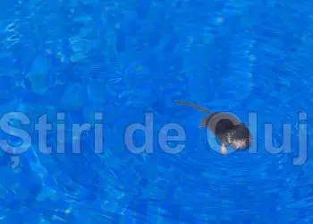 Foto/stiridelcuj.ro