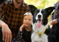 Happy dog and family in the background