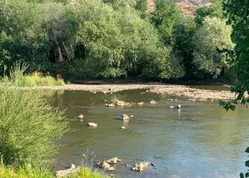 Foto/Ramona Bozbici