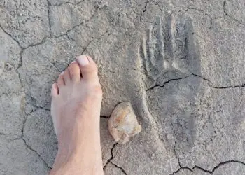 Foto/Facebook- Eugen Tușa