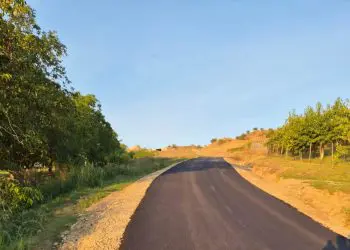 foto primăria mihai viteazu