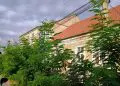 Clădiri cu acoperișuri roșii, cabluri electrice și copaci