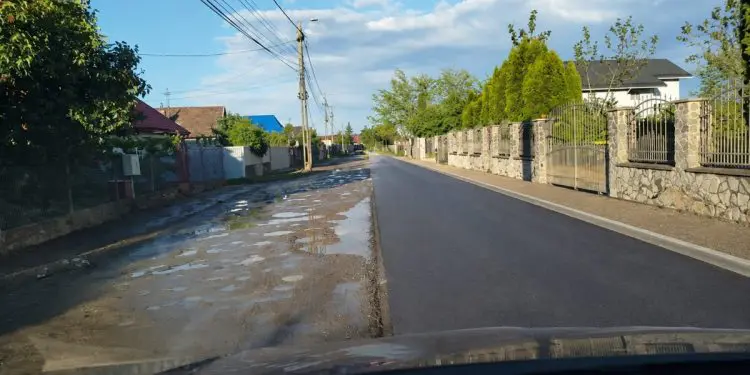 Fotografie prelucrată cu ajutorul AI.