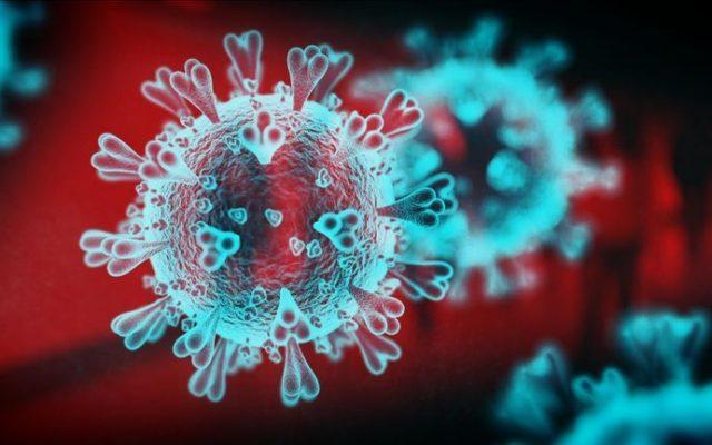 coronavirus sursa wikipedia 640x400