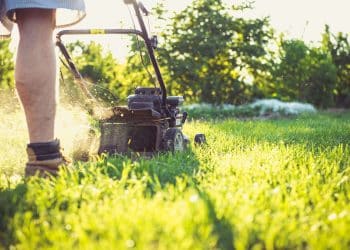 Ce tip de mașină de tuns iarba este ideal pentru curtea ta: electrică sau pe benzină?