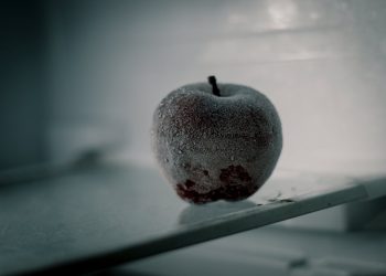 De ce este important să îți întreții congelatorul curat și cum să faci asta