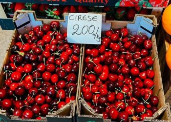 Lux cu sâmburi: Cireșele de import au ajuns să coste cât o masă festivă la restaurant