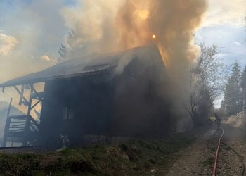 INCENDIU DEVASTATOR: O cabană din lemn și foișorul s-au făcut scrum. Coșul de fum, cauza probabilă a dezastrului