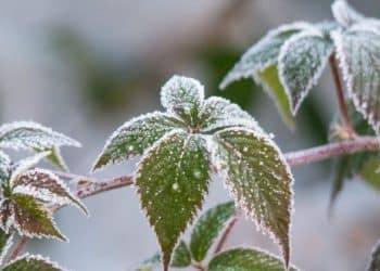 RESTRICȚIE DE PRIMĂVARĂ: Un front polar „îngheață” România începând de miercuri. Temperaturi cu 12 grade sub normal și ninsori la munte