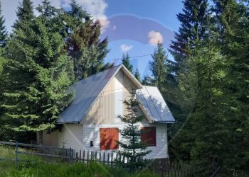 Atât te costă o cabană de poveste la Muntele Băișorii!