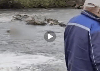 Descoperire șocantă în apele Someșului!