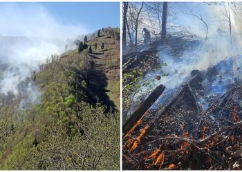 INCENDIU DE AMPLOARE: Peste 5 hectare de vegetație și pădure în flăcări. Pompierii se luptă cu vântul și terenul accidentat