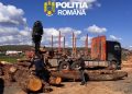 Ofensivă împotriva „mafiei lemnului” în Cluj: Amenzi și confiscări după un control inopinat