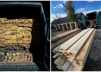 Transport ilegal de lemn depistat în miez de noapte. Cherestea confiscată și amendă de 6.000 de lei