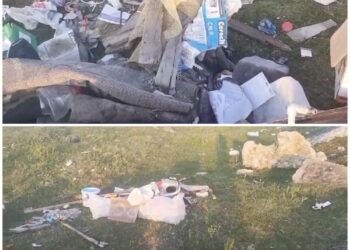 Morman de gunoaie descoperit pe un teren viran din Mihai Viteazu