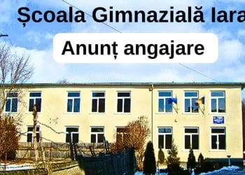 Școala Gimnazială Iara angajează șofer de microbuz școlar: Condiții accesibile pentru candidați