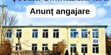 Școala Gimnazială Iara angajează șofer de microbuz școlar: Condiții accesibile pentru candidați