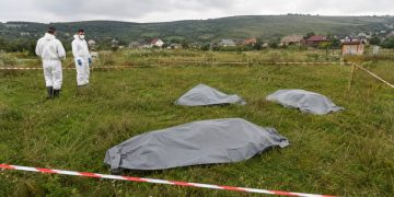 Intervenție sanitar-veterinară pe un câmp unde au fost descoperite trei cadavre de porci.